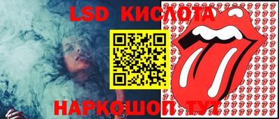 ГАЛЛЮЦИНОГЕННЫЕ ГРИБЫ Гусев