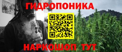 мяу мяу мука Гусь-Хрустальный
