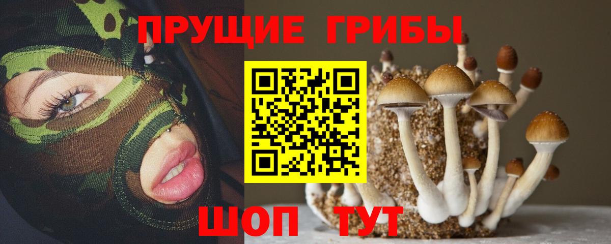 Псилоцибиновые грибы прущие грибы  купить  цена  Малгобек  Псилоцибиновые грибы MAGIC MUSHROOMS  Вход с VPN 